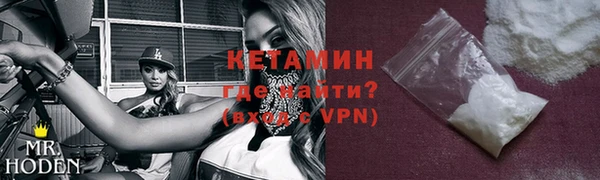 индика Осинники