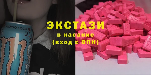 индика Осинники