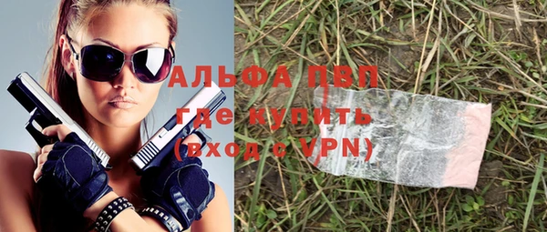 мдпв Осташков