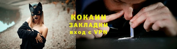 мдпв Осташков