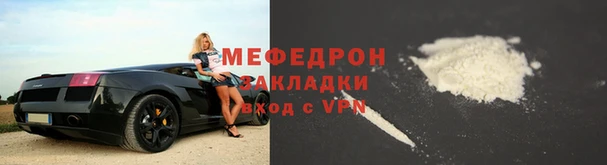 индика Осинники