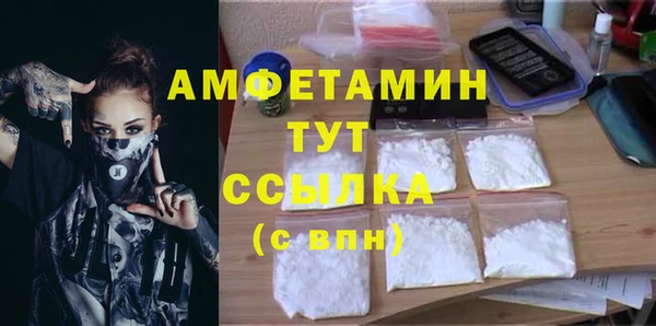 мдпв Осташков