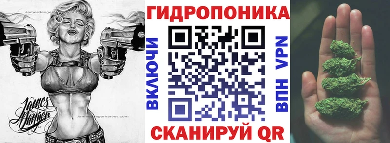 МАРИХУАНА Amnesia  купить наркотики сайты  Судогда 